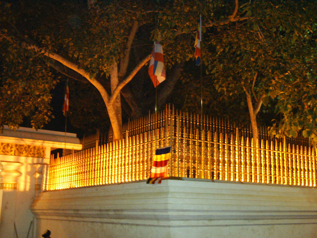 ANURADHAPURA SRI MAHA BODHI TREE